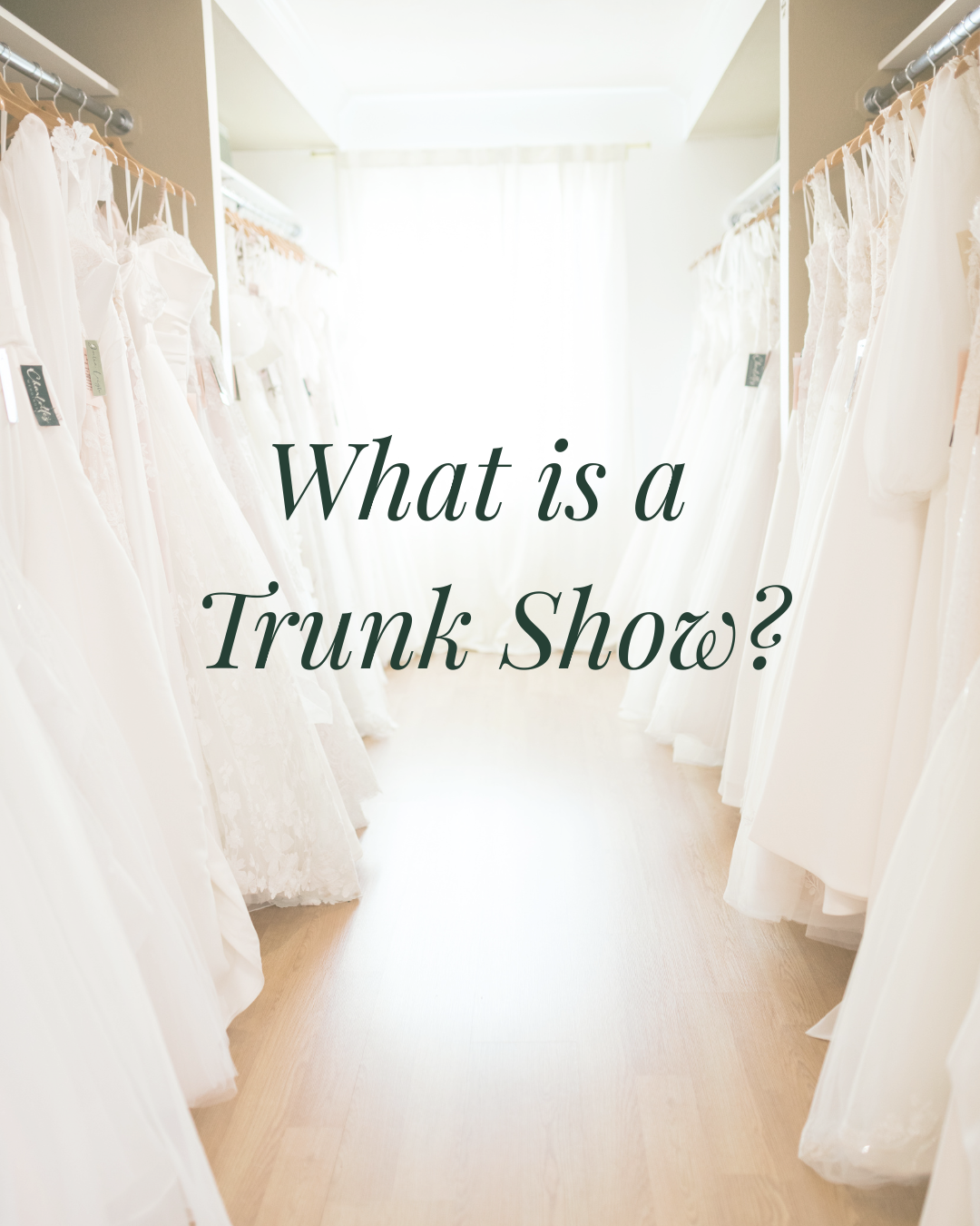 Wedding Dress Trunk Shows: What They Are and Why Every Bride Should Consider Shopping One Image